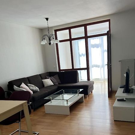 Very Nice, Central And Fully Furnished Apartment Bonn Exterior photo